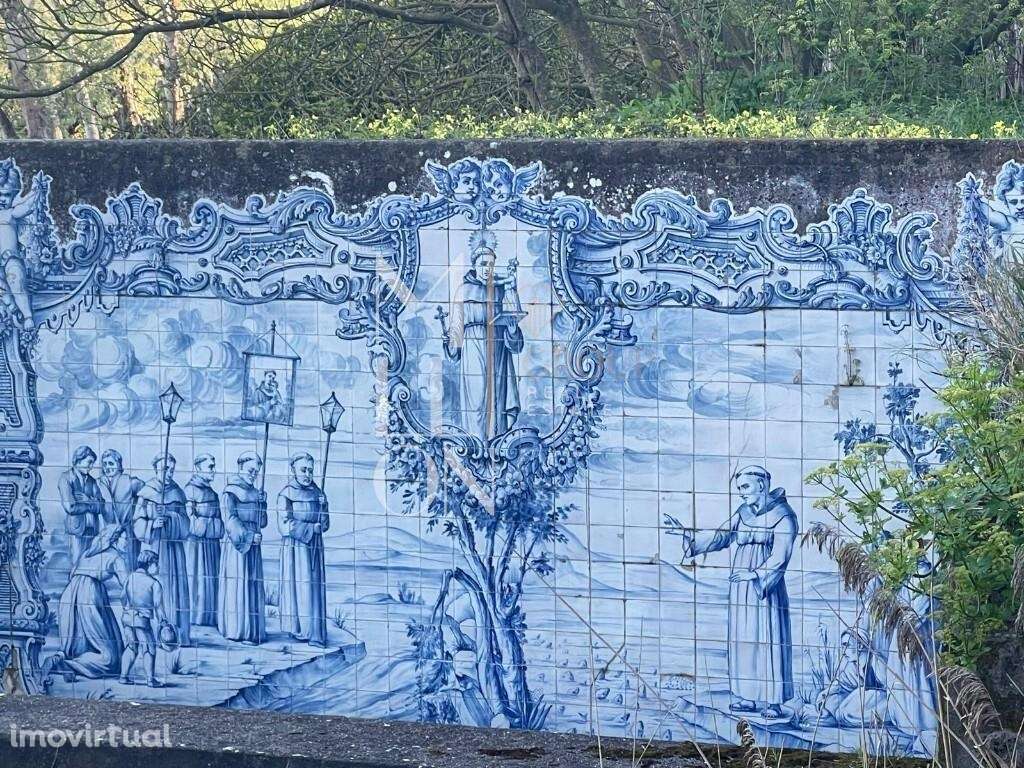 Quinta da Malvasia - Grande imagem: 2/50