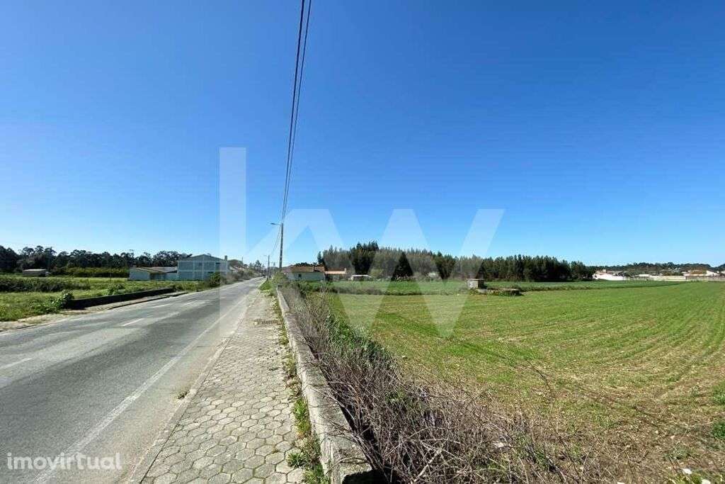 Terreno Urbanizável | Ílhavo | Ervosas | 5350m2 - Grande imagem: 2/24