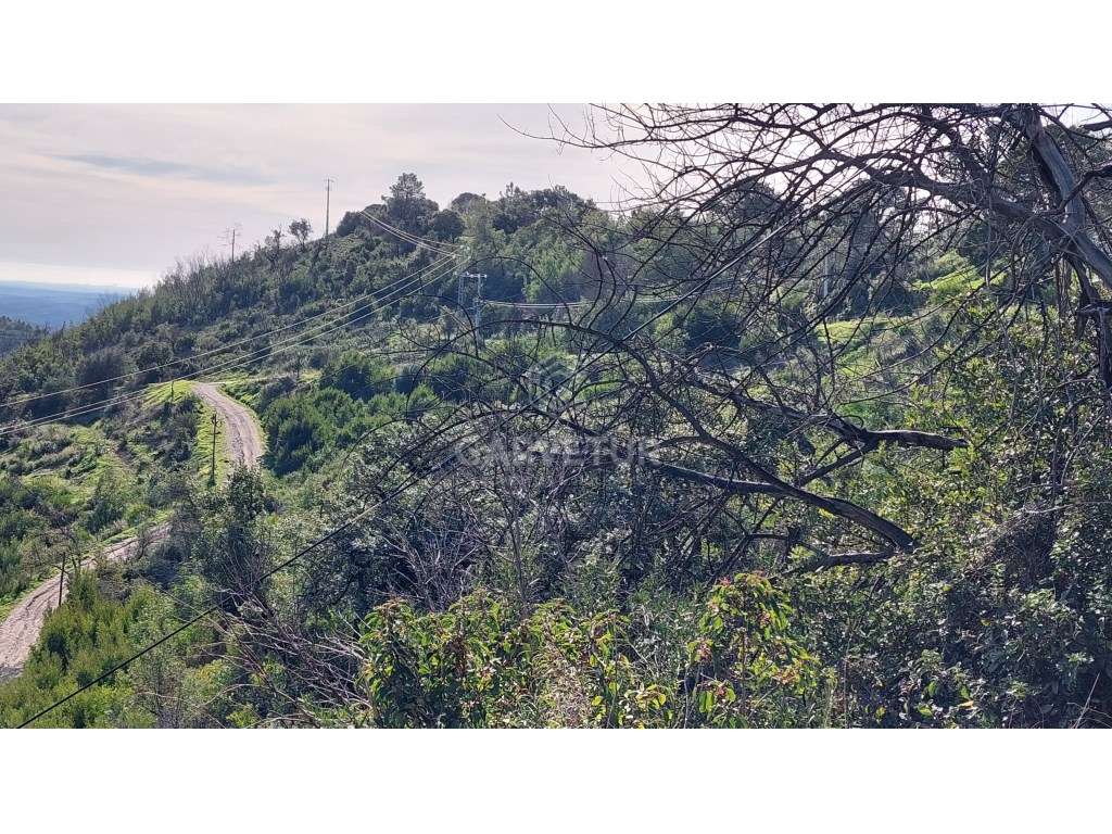 Terreno para Hotel nas Caldas de Monchique, Algarve - Grande imagem: 4/15