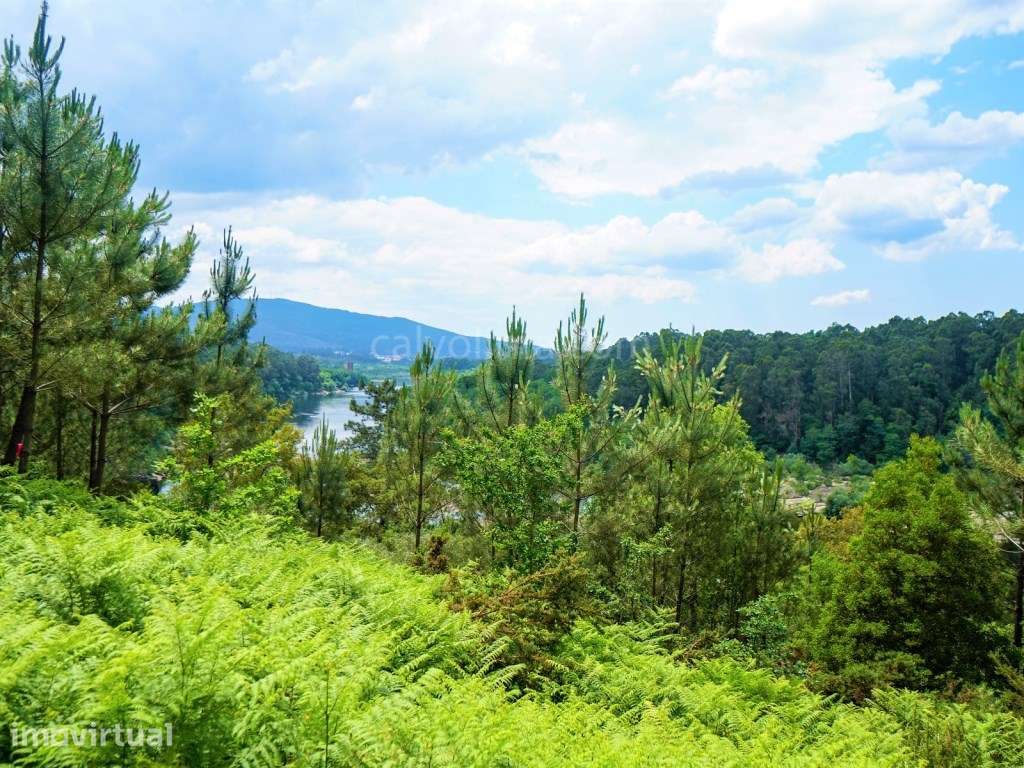 Terreno em zona de construção para venda, com vistas para o rio Min... - Grande imagem: 2/4