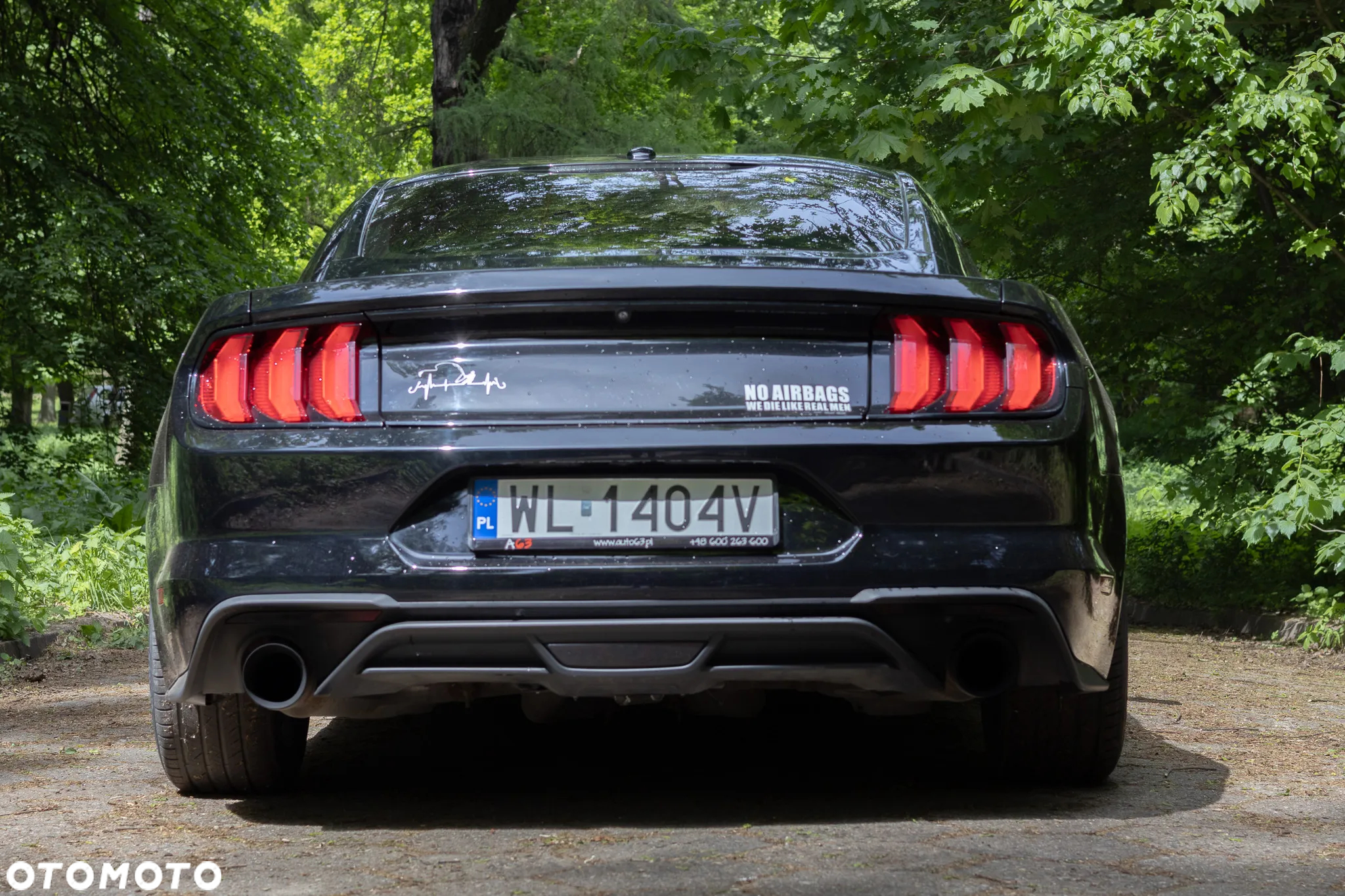 Ford Mustang - 7