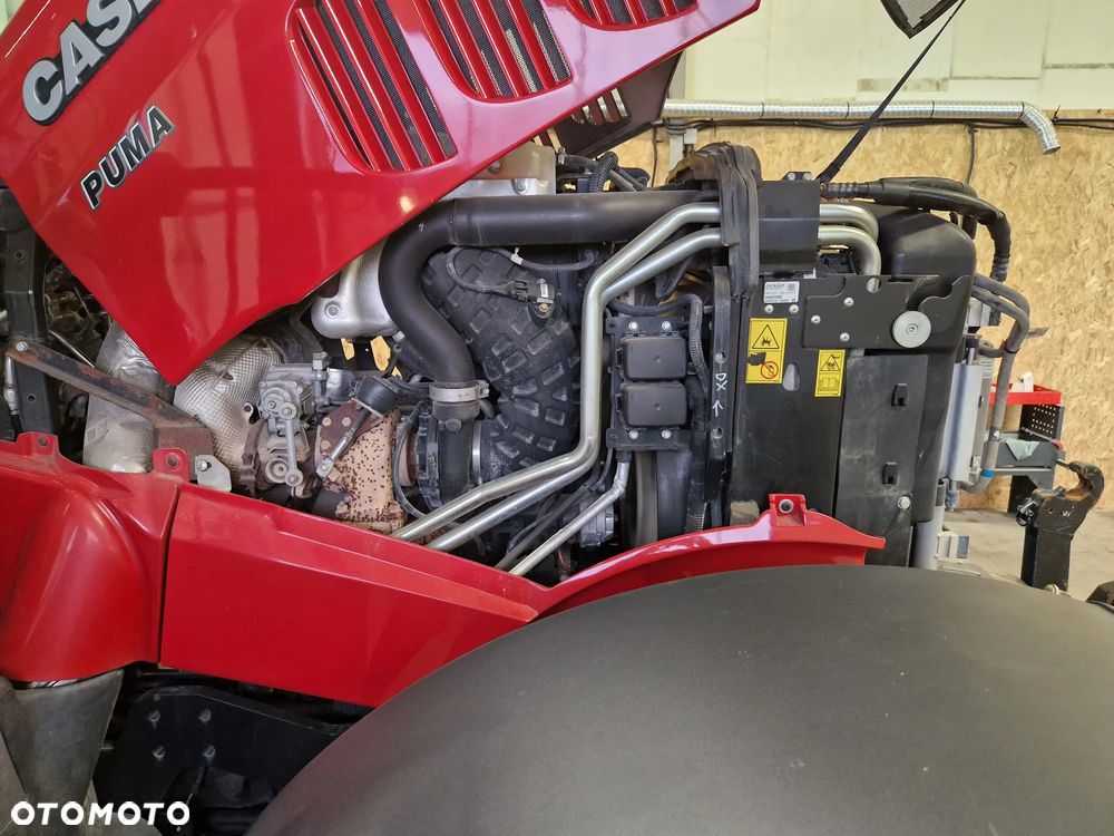 Case IH Puma 200 2019 rok Pneumatyka 220 240 Steyr 6220 M 185 175 - 40