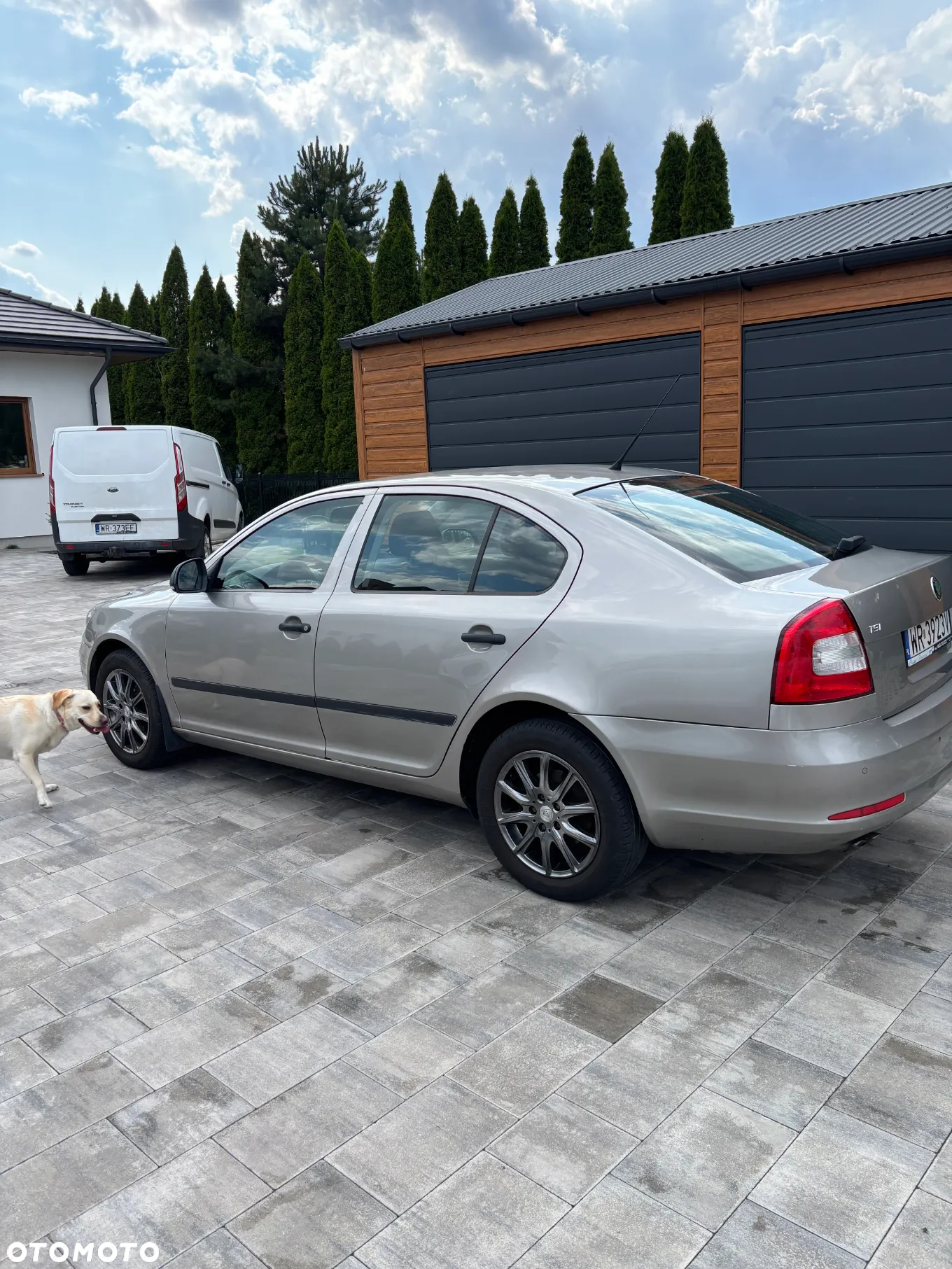 Skoda Octavia - 10