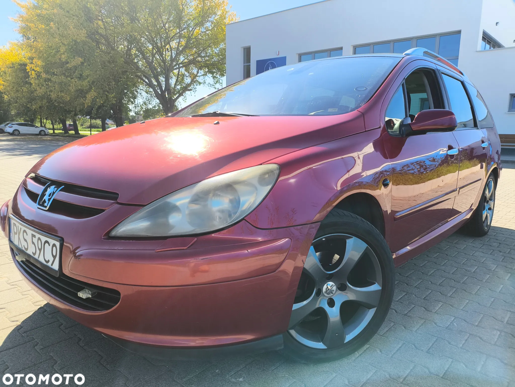 Peugeot 307 1.6 - 14