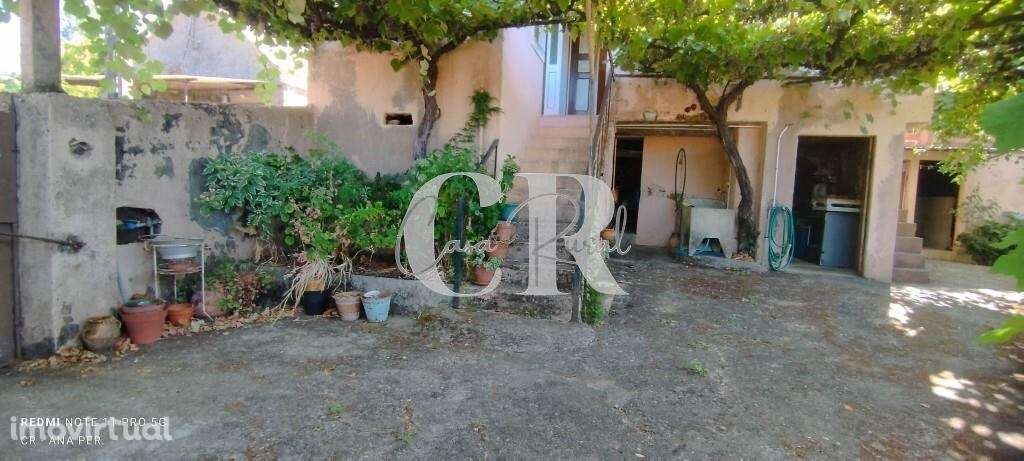 Moradia rustica T2 com adega, terreno, terraços e latada - Grande imagem: 5/60