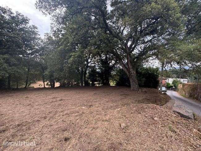 Terreno para Venda com PIP Aprovado – Coucieiro, Vila Verde - Grande imagem: 2/4