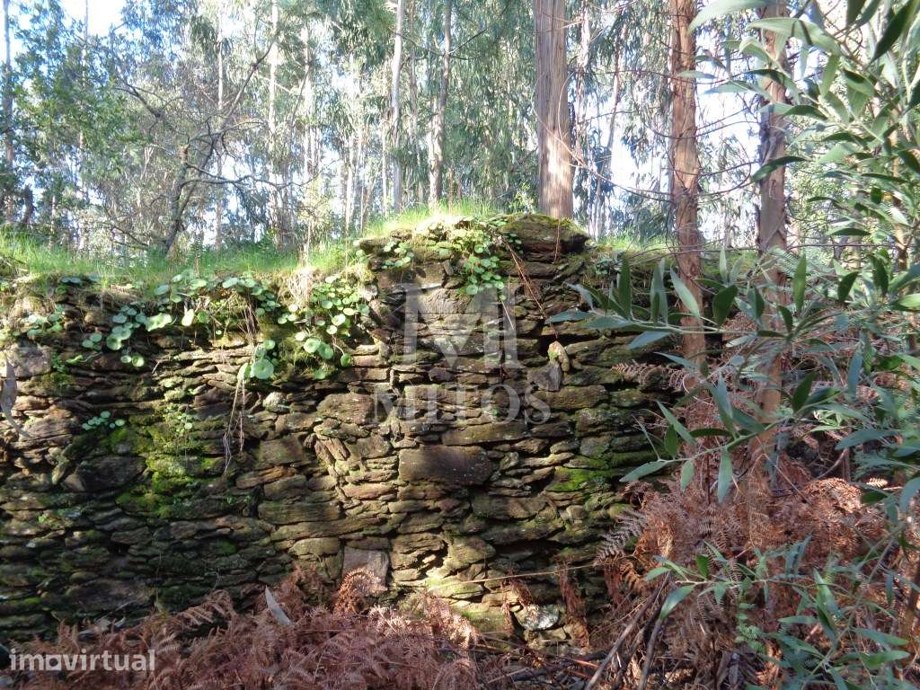 Ruína em Pedra para reconstruir, situada em Vilar de Mouros - Grande imagem: 2/7