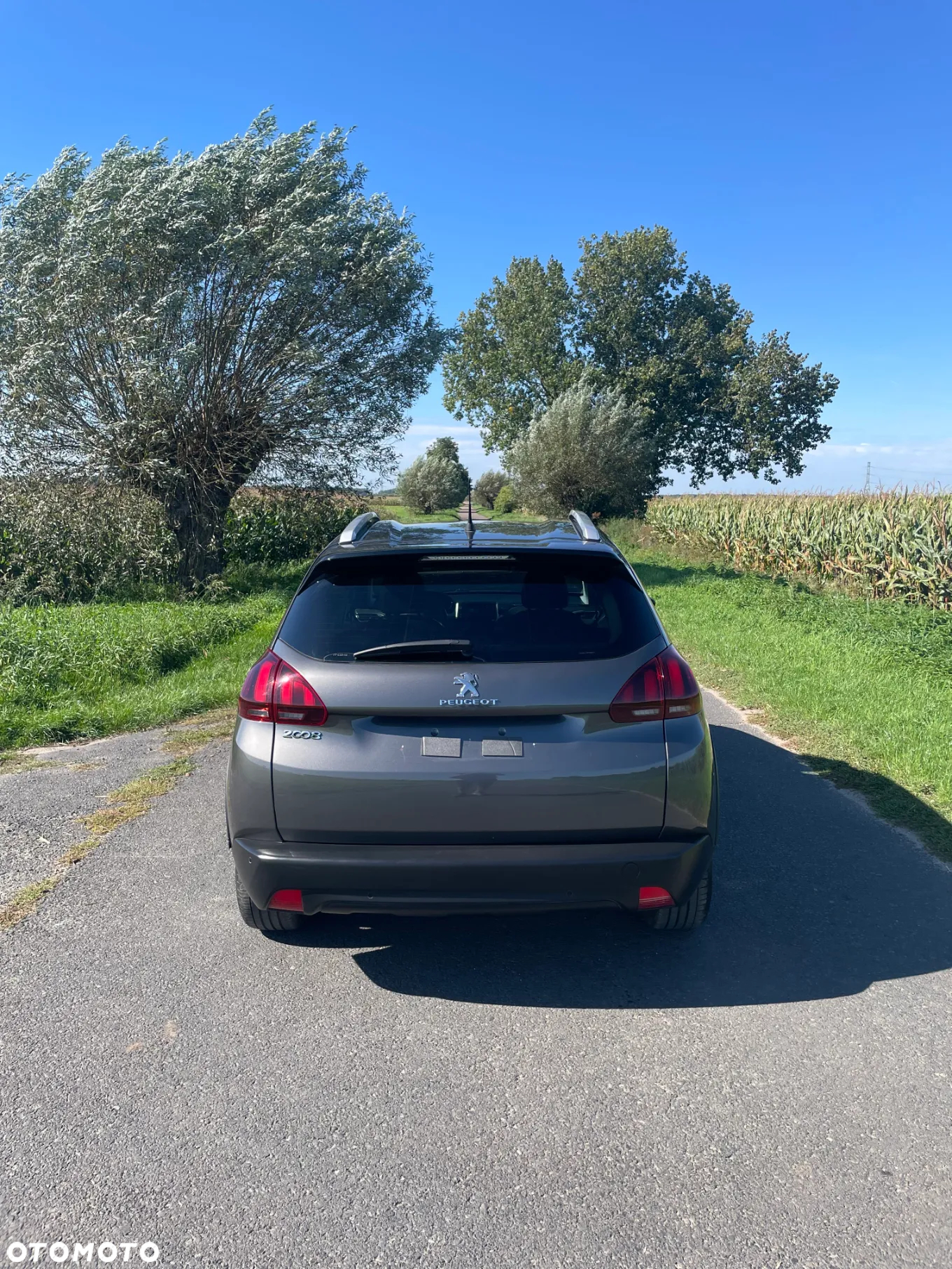 Peugeot 2008 1.2 Pure Tech Access - 5