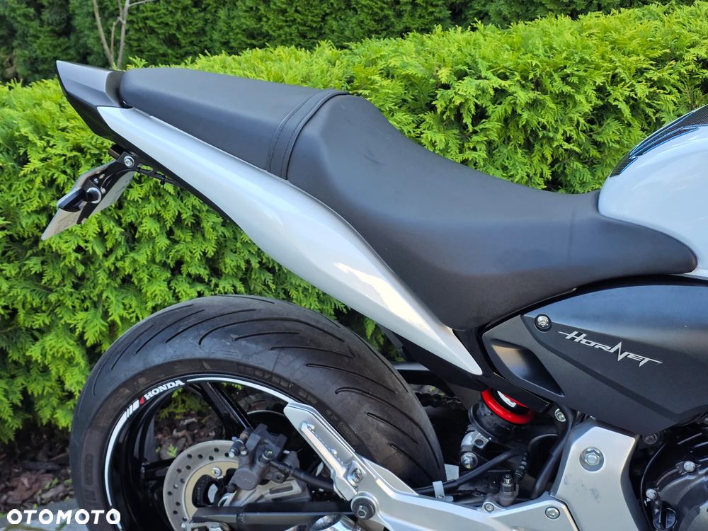 Honda Hornet - 10