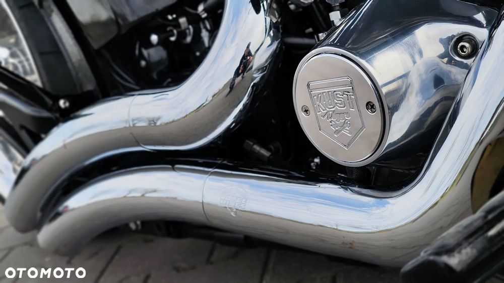 Harley-Davidson Softail - 35