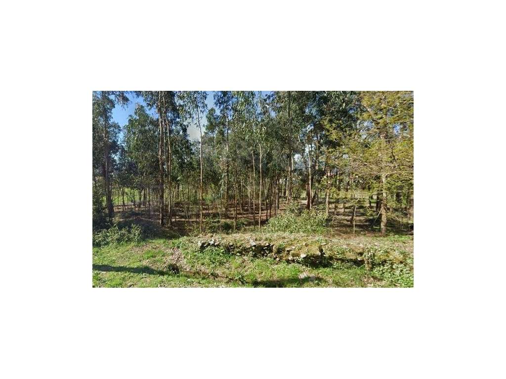 Terreno para construção em Picões, Valença - Grande imagem: 5/5