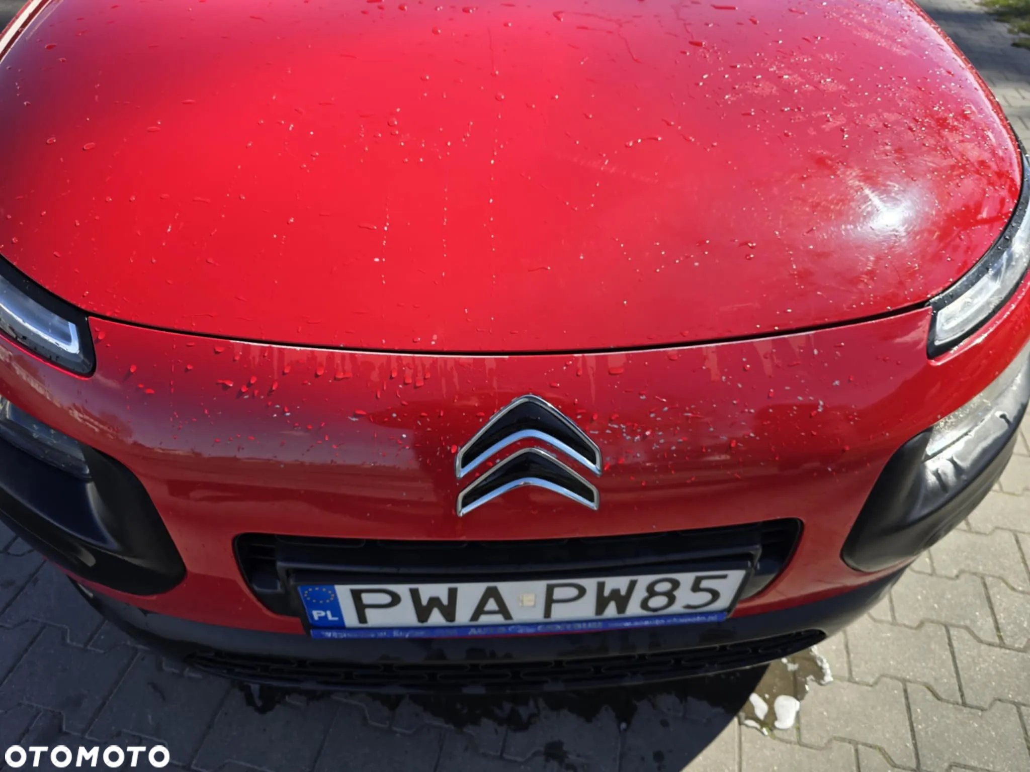 Citroën C4 Cactus 1.2 PureTech Feel S&S - 6