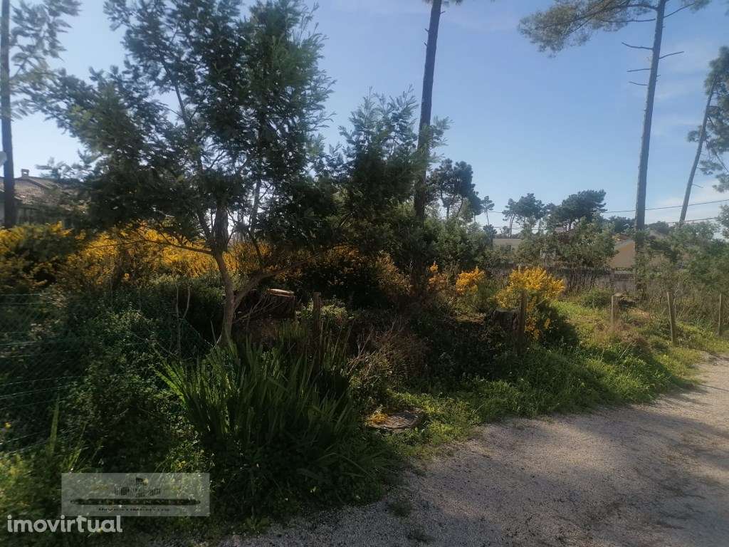Terreno urbano com 3977 m2 na Aroeira, Charneca de Caparica. - Grande imagem: 4/16