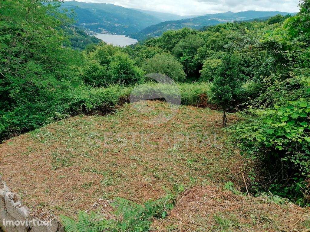 Quinta com vistas para o Douro - Grande imagem: 5/29