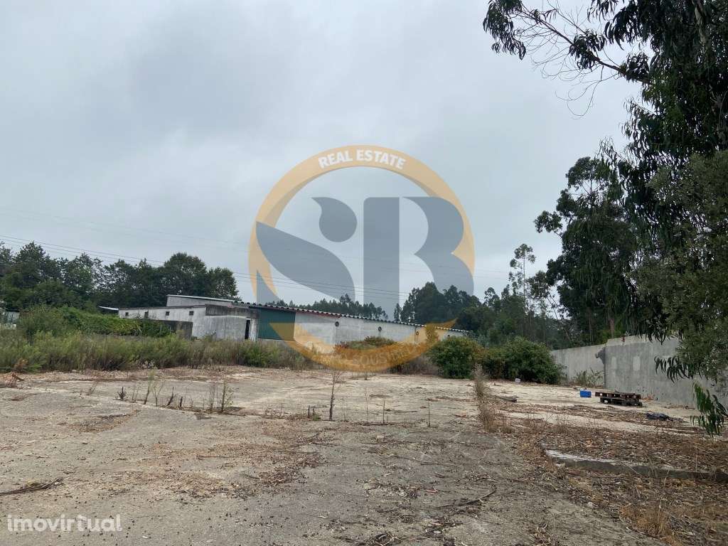 Armazém Oliveira de Azeméis - Grande imagem: 4/4