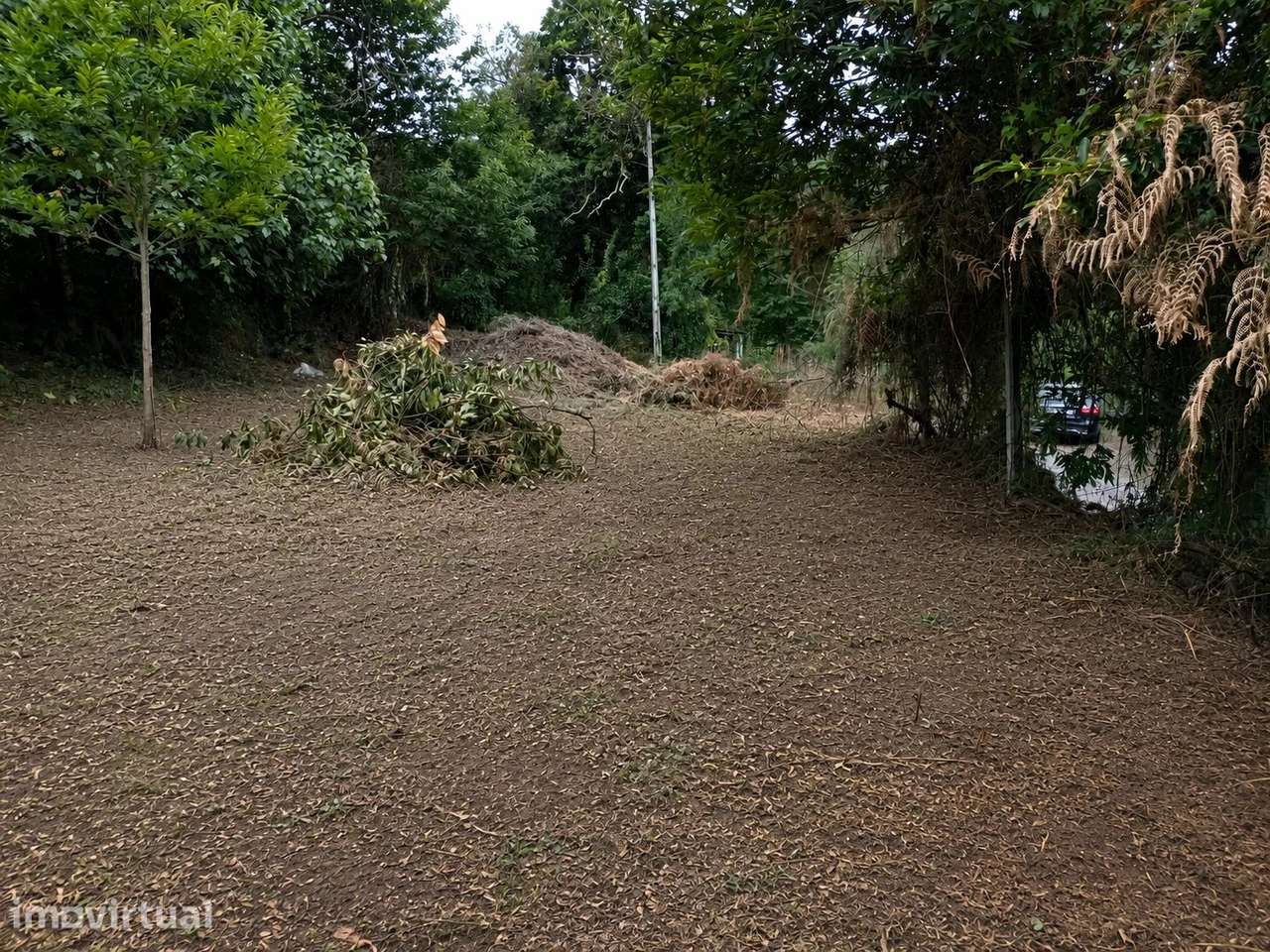 Terreno Grovelas, Ponte da Barca - Grande imagem: 5/11