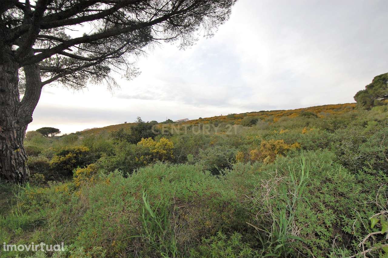 Terreno Rústico Novo em Sintra - Oportunidade Única! - Grande imagem: 5/12