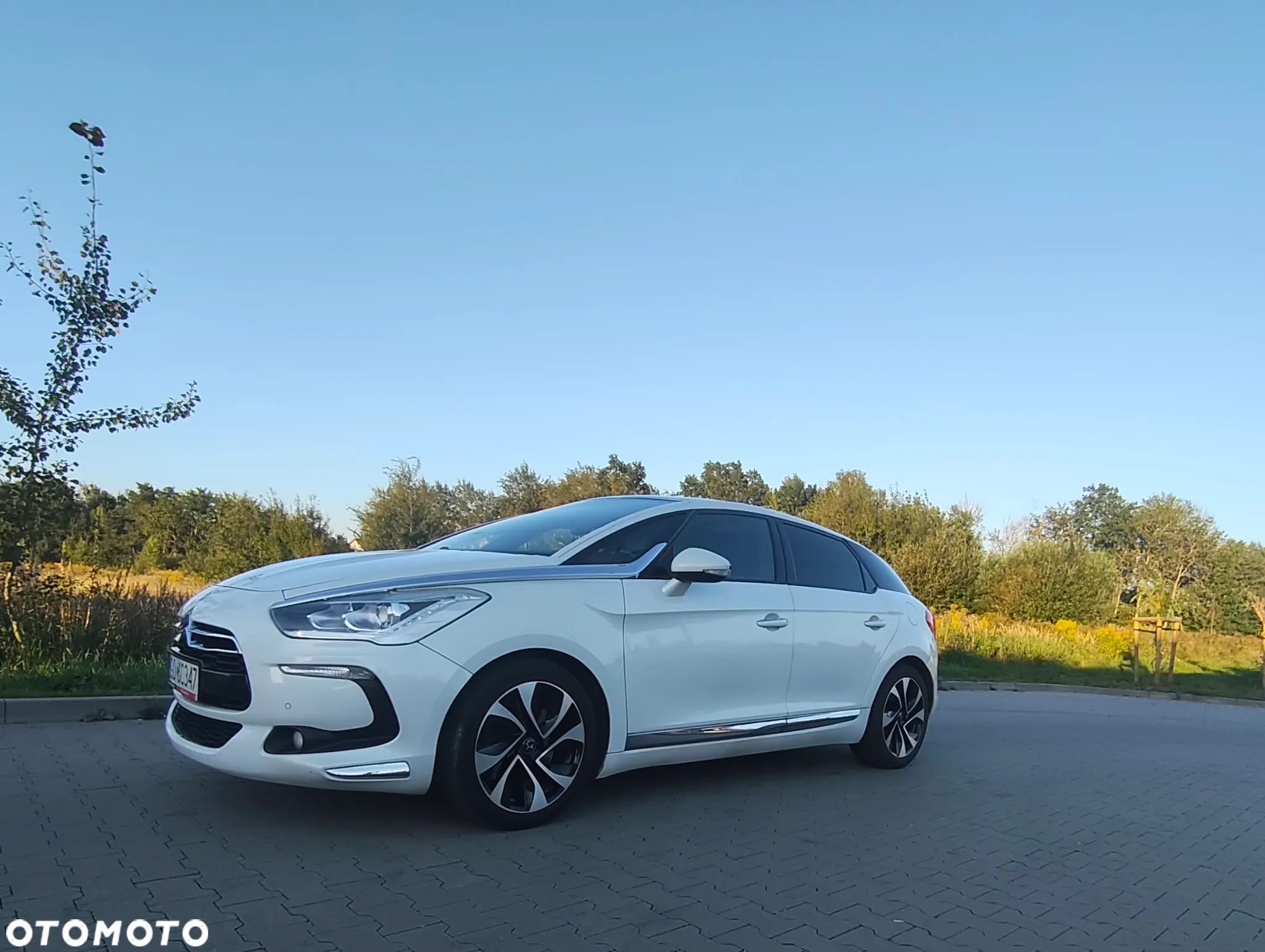 Citroën DS5 2.0 HDi SoChic - 1