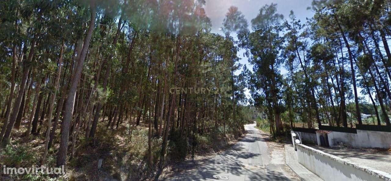 Terreno Rustico para construção (habitação, oficinas, armazéns...) - Grande imagem: 2/4