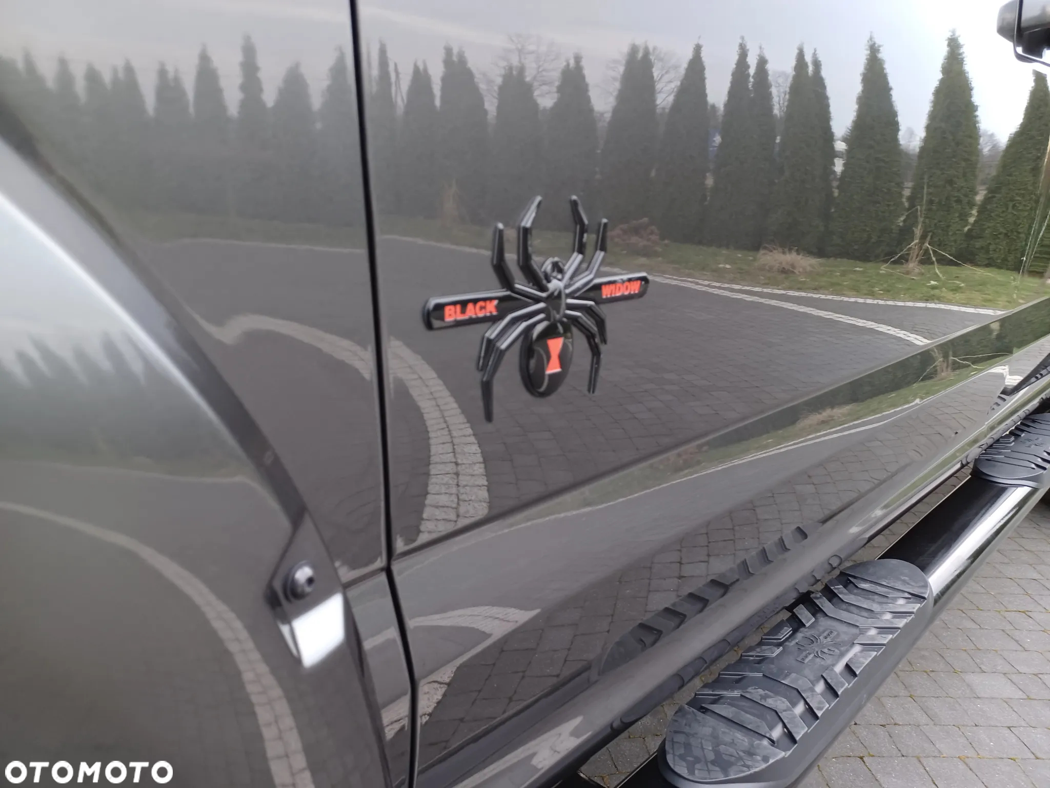 Ford F150 - 19
