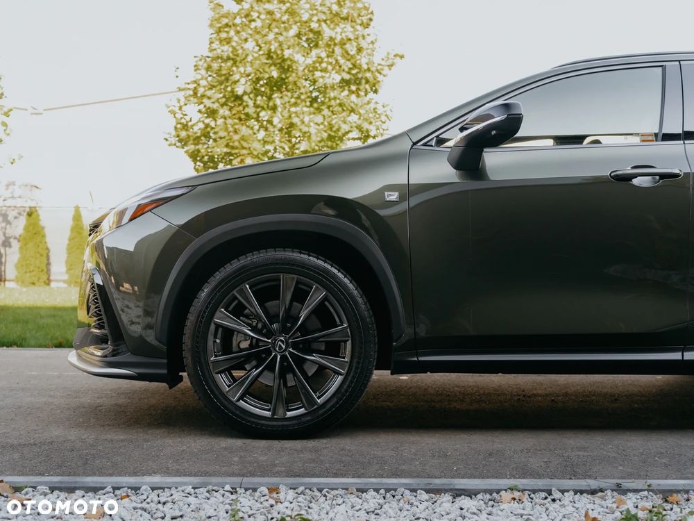 Lexus NX 350h F Sport AWD - 7
