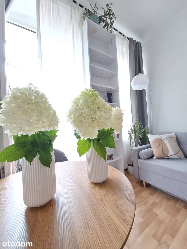 Luksusowa Lokalizacja Kamienica Po Remoncie Media Miejskie Balkon TOP!