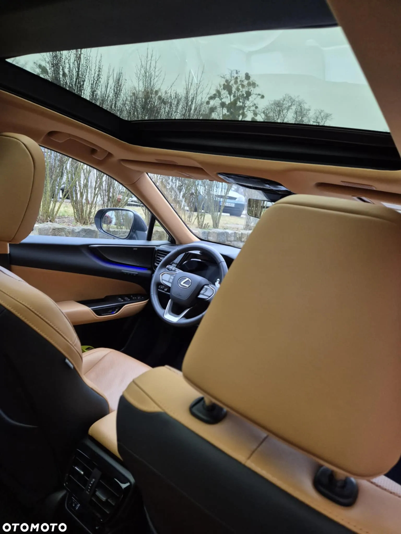 Lexus NX - 18