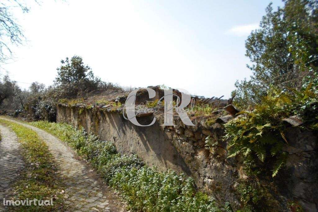 Casa em ruina para recuperar próxima da vila de Ansião. - Grande imagem: 2/22