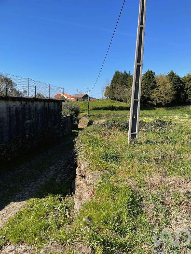 Terreno Agrícola em Montaria - Grande imagem: 4/11