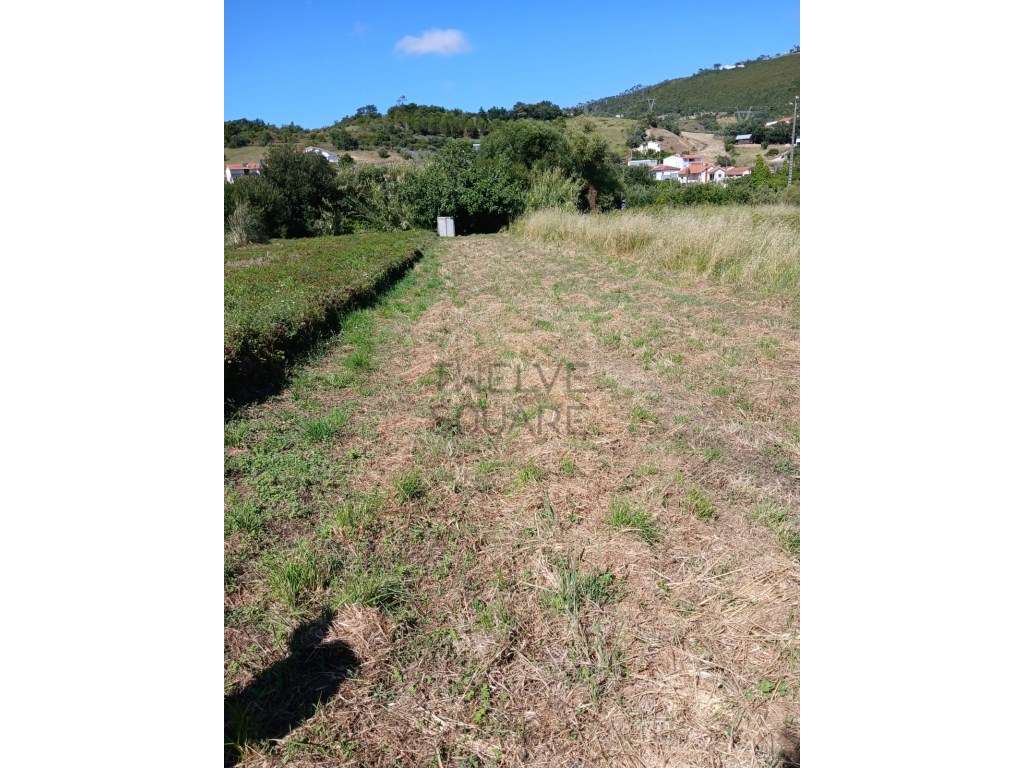 Terreno com 1000m2 em Cortes, índice construção 0,5% no PDM de Leiria - Grande imagem: 5/7