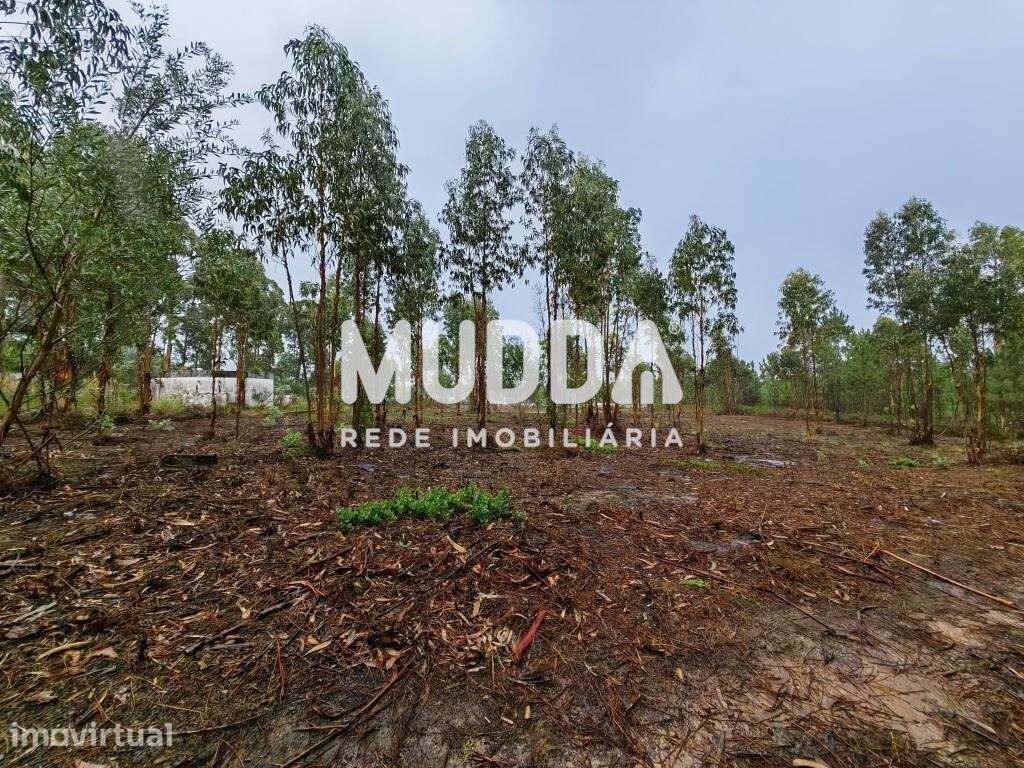 Terreno Industrial, A1 Saída Aveiro-Sul - Grande imagem: 2/5