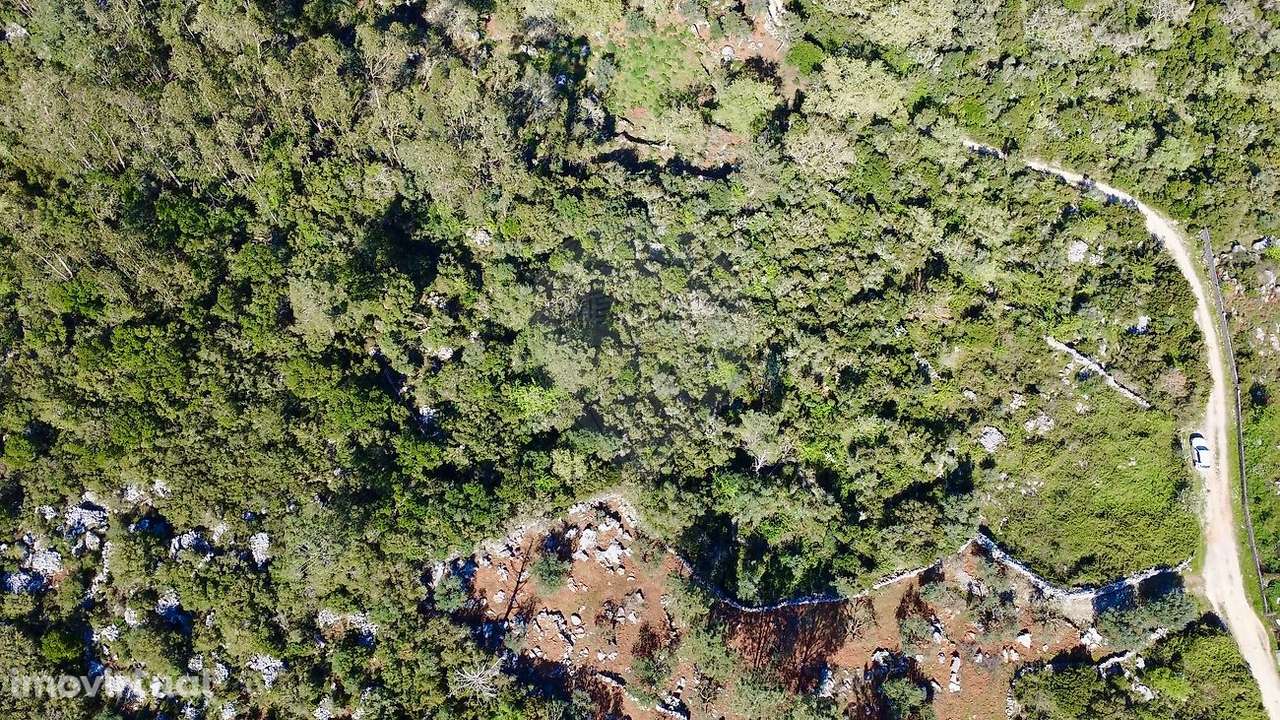 Terreno  para venda - Grande imagem: 5/6