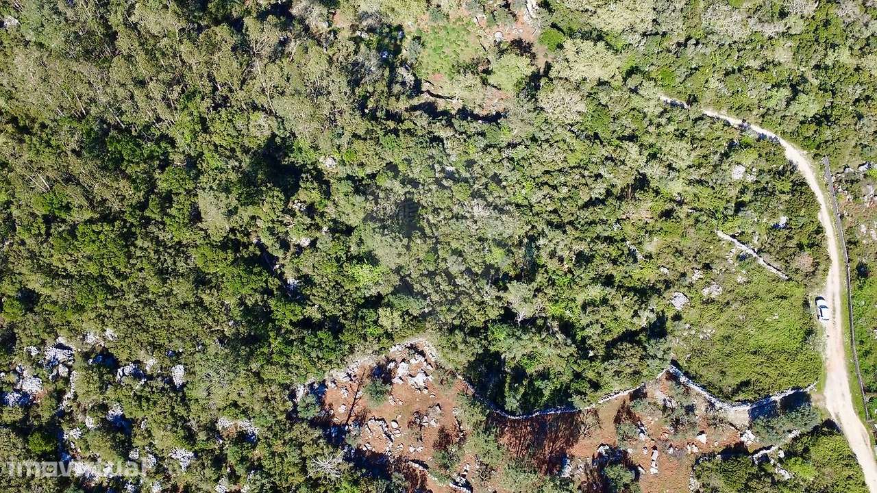 Terreno  para venda - Grande imagem: 5/6