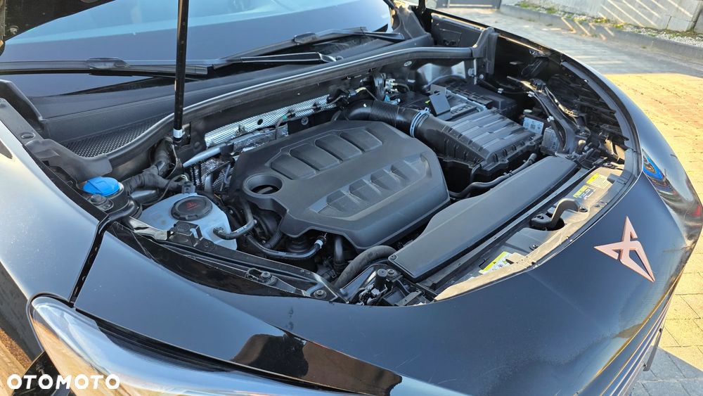 Cupra Terramar 2.0 TSI 4Drive DSG VZ - 37