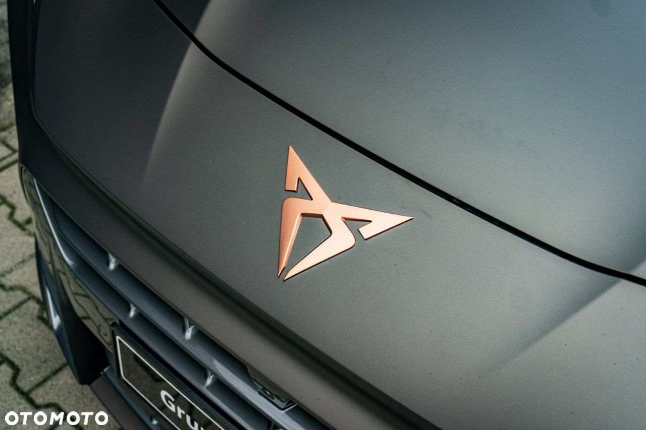Cupra Terramar - 14