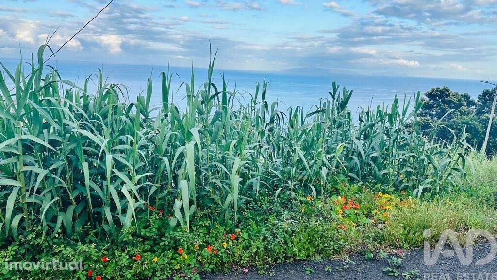 Terreno para construção em Gaula - Grande imagem: 3/13