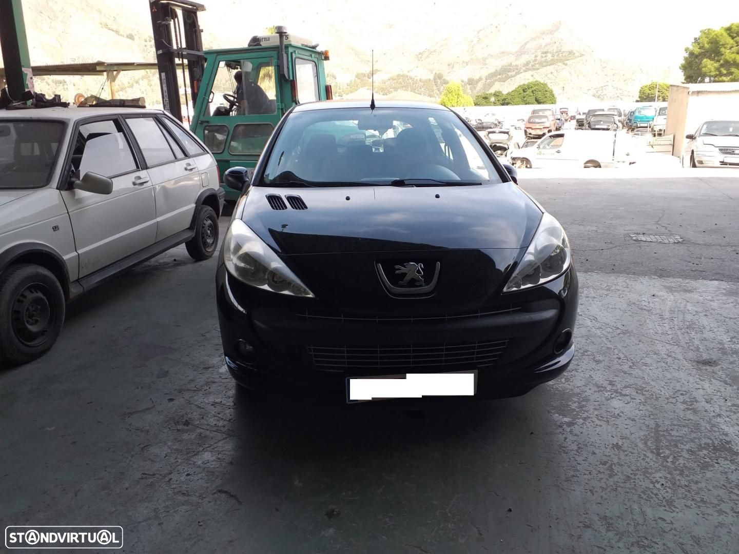 CAPÔ PEUGEOT 206 - 1