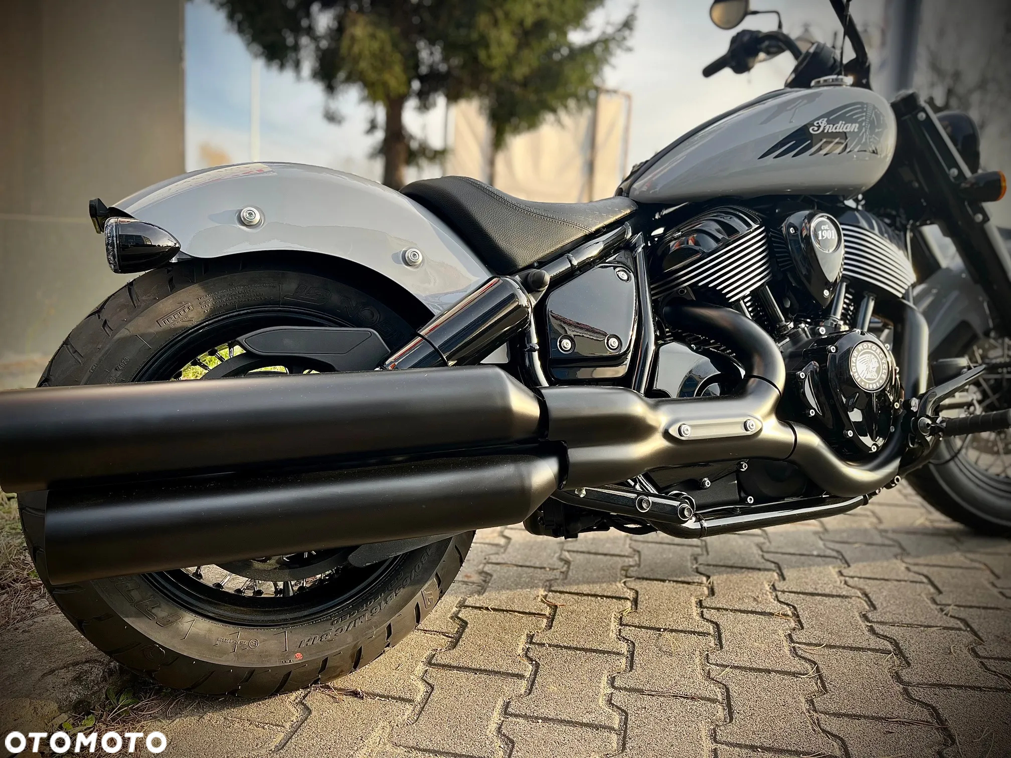Indian Chief - 3