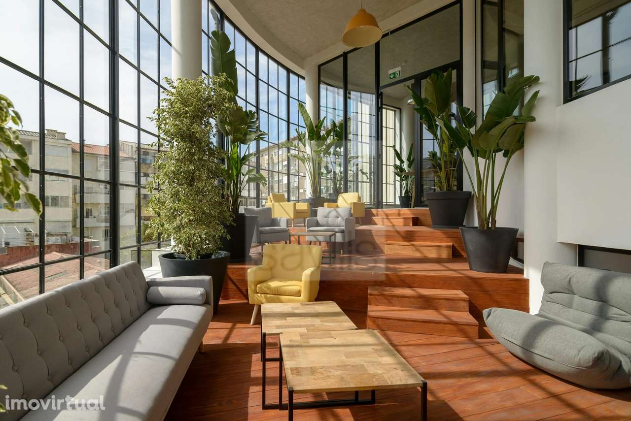 Latino Coelho 85 - Grande imagem: 4/14