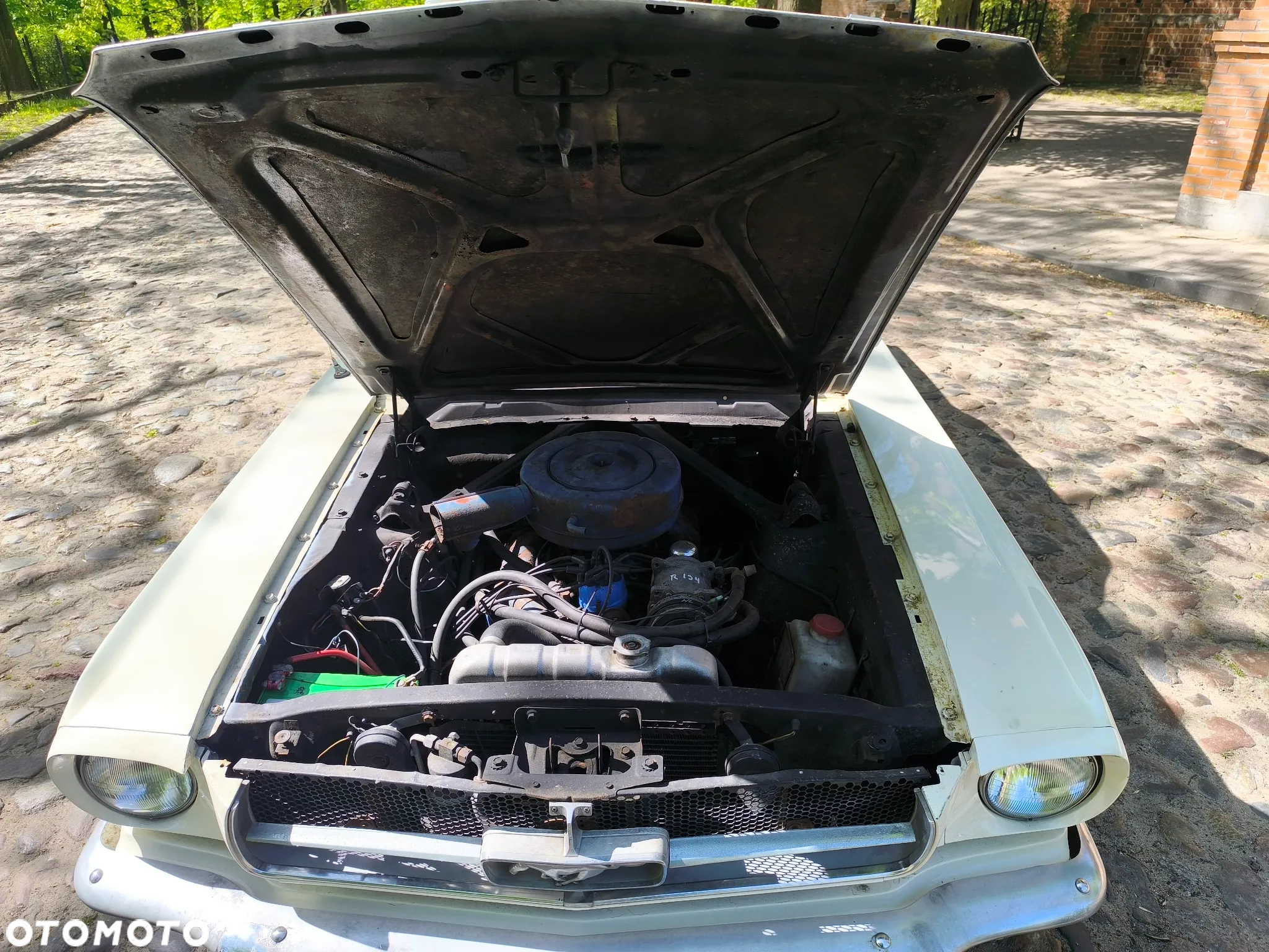 Ford Mustang - 14