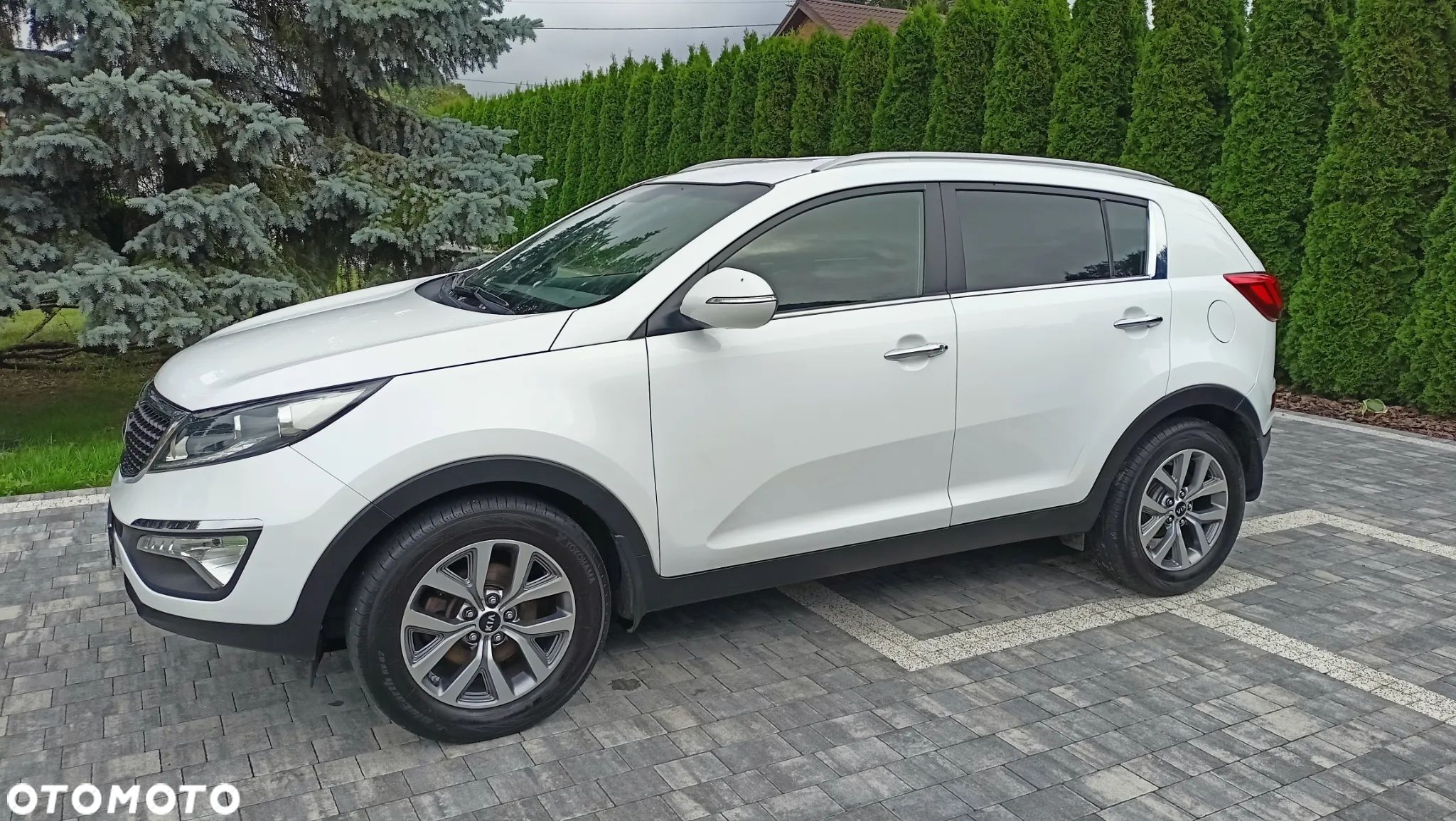 Kia Sportage - 1