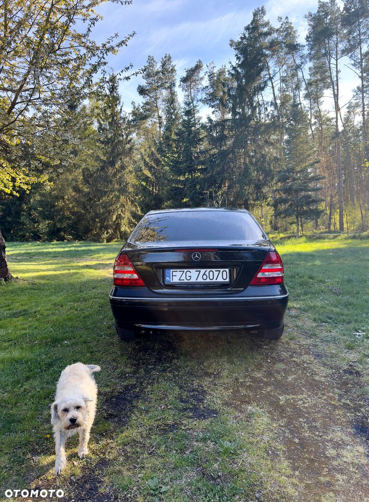 Mercedes-Benz Klasa C - 7