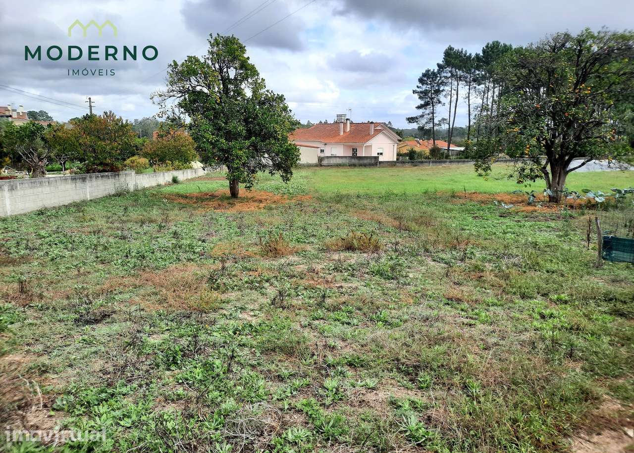 Terreno de Construção com 2 frentes de estrada - Ilha, Pombal - Grande imagem: 2/11