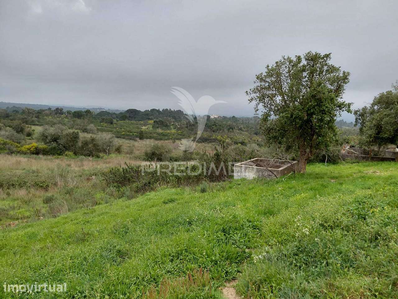 Monte Alentejano com 5,6 hc,São Francisco Serra, Santiago do Cacém. - Grande imagem: 5/30