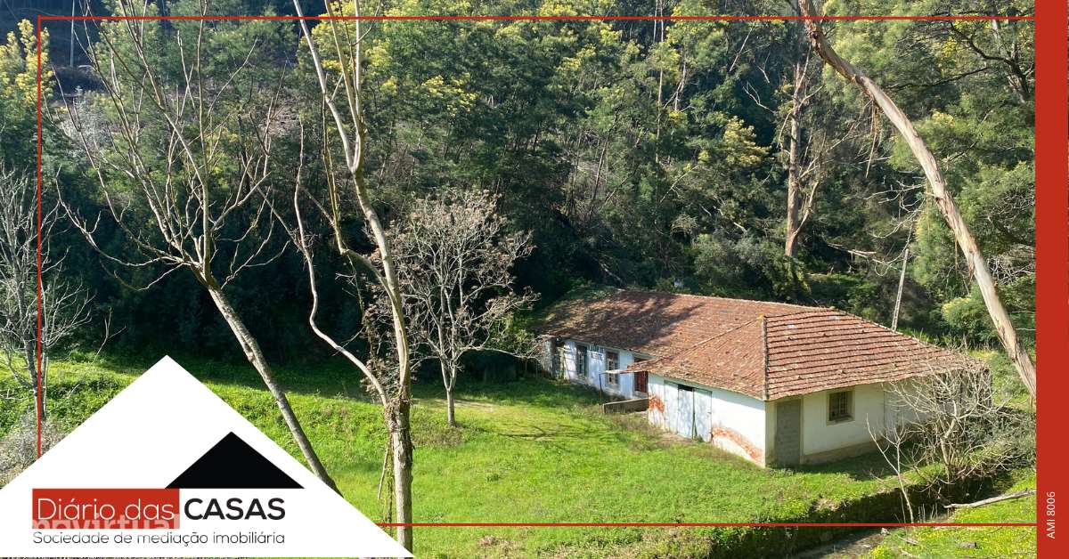 Armazém e 5 100m² de terreno - Grande imagem: 3/16