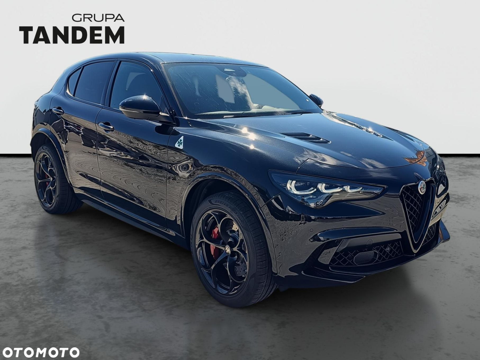 Alfa Romeo Stelvio 2.9 Bi Turbo V6 Quadrifoglio Q4 - 3