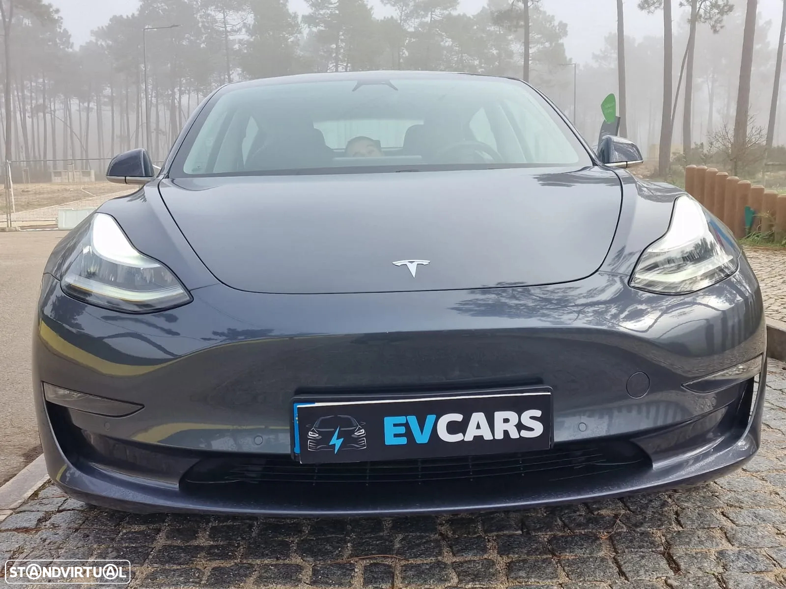 Tesla Model 3 Long Range AWD Dual Motor - 9