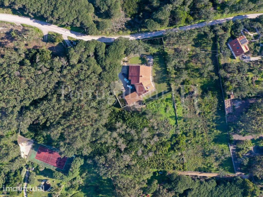 Quintinha com vista mar na região de Colares - Sintra - Grande imagem: 3/31
