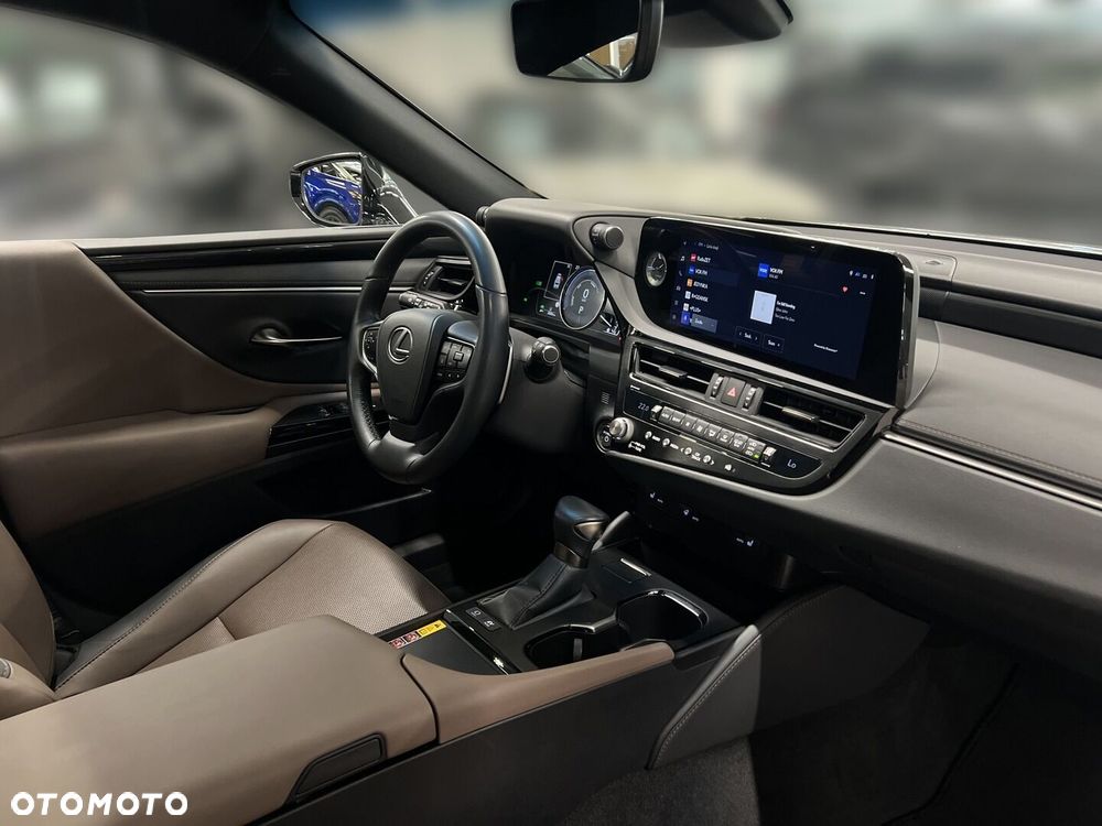 Lexus ES 300h F Sport Design - 18