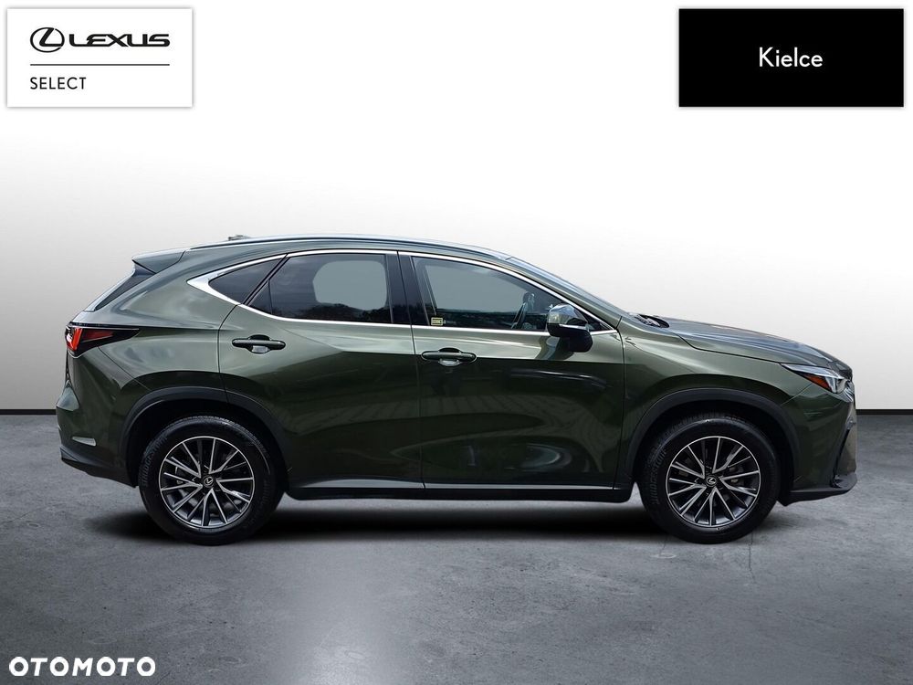 Lexus NX 350h Prestige 2WD - 7